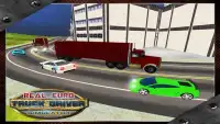 Real Euro 3D Truck Driver Sim Screen Shot 10