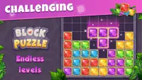 Block Puzzle - Classic Puzzle Games Screen Shot 0