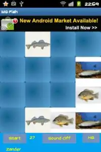 Fish Memory game Screen Shot 0
