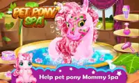 Pet Pony SPA Screen Shot 0