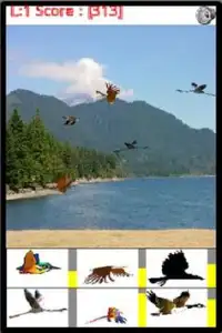 Catch the Birds Screen Shot 0