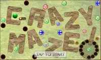 CrazyMaze! Lite Screen Shot 0