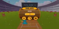 Bat Ball Cricket Screen Shot 2