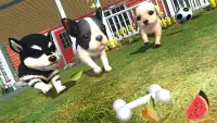 Puppy Simulator 2021 - Pet Dog Family Simulator 3D Screen Shot 3
