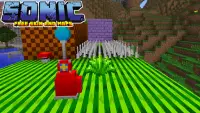 Skins Sonic Craft For Minecraft PE 2021 Screen Shot 3