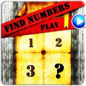 Find Numbers