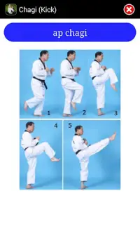 Taekwondo ITF Screen Shot 7