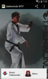 wtf taekwondo Screen Shot 0