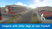 Dog Run - Pet Greyhound Dog Simulator Race 3D 2021 Screen Shot 1