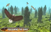 पक्षी चेस उन्माद: ईगल शिकार अंतहीन फ्लाइंग Screen Shot 1