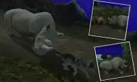 Angry selvagem ataque rhino 3d Screen Shot 5