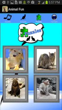 Животные Игры для детей Screen Shot 3