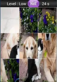 Cat And Dogs Screen Shot 2