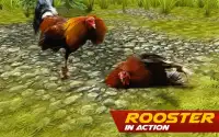 Rooster Wild Fighting Screen Shot 4