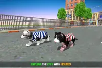 Cat Simulator Game 2020 :Kitty Running Screen Shot 0