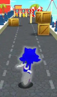 Subway Hedge Hog Run 2020 Screen Shot 2