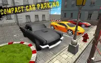 Multi Compact Car Parking Screen Shot 0