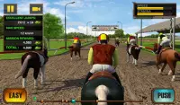 Horse Derby Quest 2016 Screen Shot 7