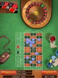 Roulette Casino Screen Shot 5