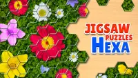Jigsaw Puzzles Hexa Screen Shot 0