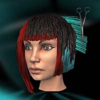 Digital Hair Simulator