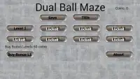 Dual Ball Maze Screen Shot 1