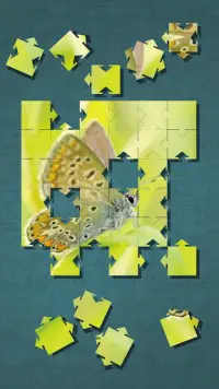 Butterfly Think Puzzle Screen Shot 3