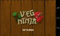 Veg Ninja Screen Shot 7