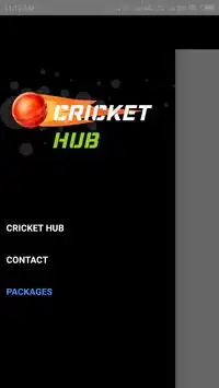 Cricket Hub Screen Shot 3