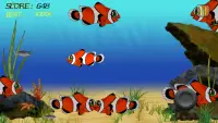 Fish Frenzy (Angry Fish) Screen Shot 1