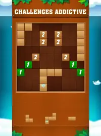 Block Wodu -  Puzzle Game Screen Shot 4