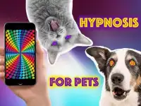 Hypnosis Pets Illusions Prank Screen Shot 2