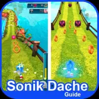 Guide For Sonic Dash 2 Screen Shot 0