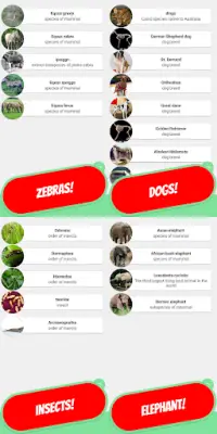 ANIMALS & PETS Quiz 2020 Screen Shot 3