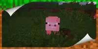 Player Animated Plus Mod Minecraft Screen Shot 4