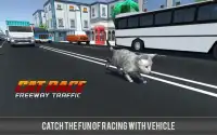 Corrida de gato corida ocupada Screen Shot 1