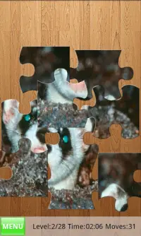 Ferrets Jigsaw Puzzles Screen Shot 2