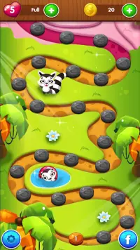 Raccoon Pop - Bubble Shooter Screen Shot 1