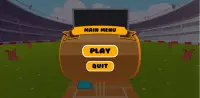 Bat Ball Cricket Screen Shot 0