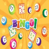 Bingo Cards- Classic Bingo