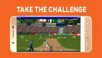 Boom Boom Afridi Cricket Game Screen Shot 7