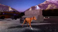 Simulator Anjing Greyhound Screen Shot 8