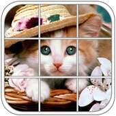 Cute Kitty Epic Puzzle
