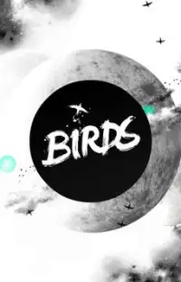 Birds Screen Shot 0