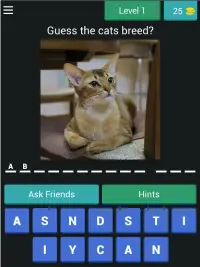 Cat Quiz - Guess The Cat Breed 2020 Screen Shot 13