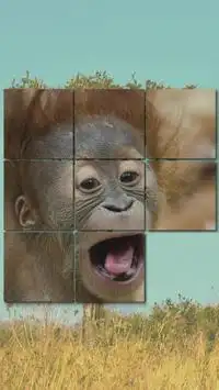 Giochi di Animali dello Zoo Screen Shot 1