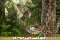 Wild Owl Bird Family Survival Screen Shot 2