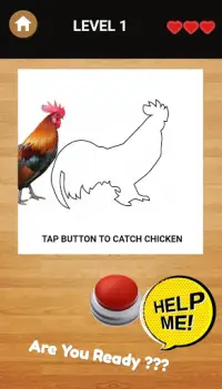 King of Catch - Chicken Catch Game Offline Screen Shot 0