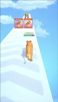 Cat Evolution Screen Shot 2