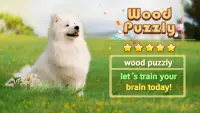 Wood Puzzle Mania - Block Puzzle Game Screen Shot 0